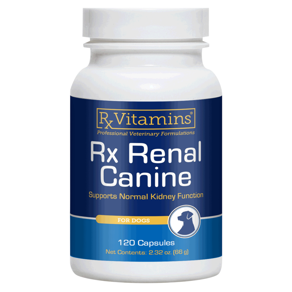 Rx Renal Canine