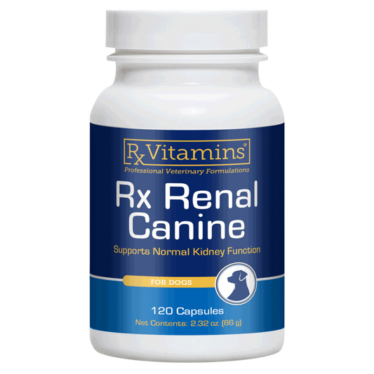 Rx Renal Canine