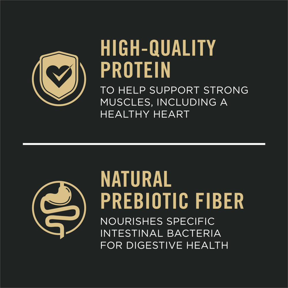 ProPlan Shredded Blend Chicken and Rice Dry Dog Food
