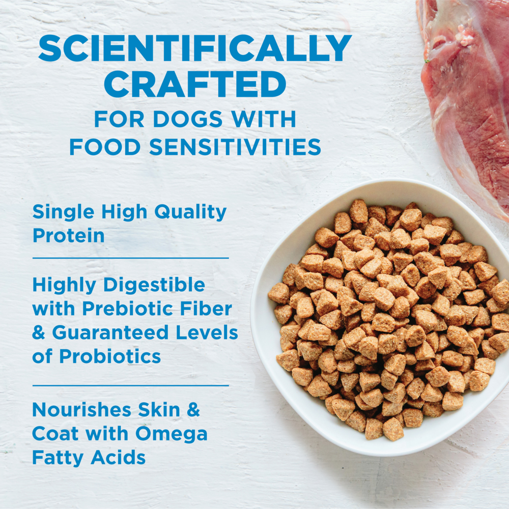 Wellness Simple Natural Limited Ingredient Diet Lamb and Oatmeal Recipe Dry Dog Food