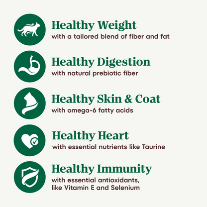 Nutro Wholesome Essentials Indoor Chicken and Brown Rice Recipe Adult  Dry Cat Food