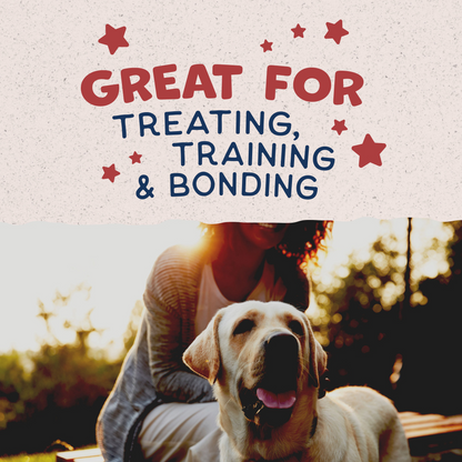 Natural Balance Rewards Crunchy Biscuits Dog Treats for Small Breeds with Real Bison