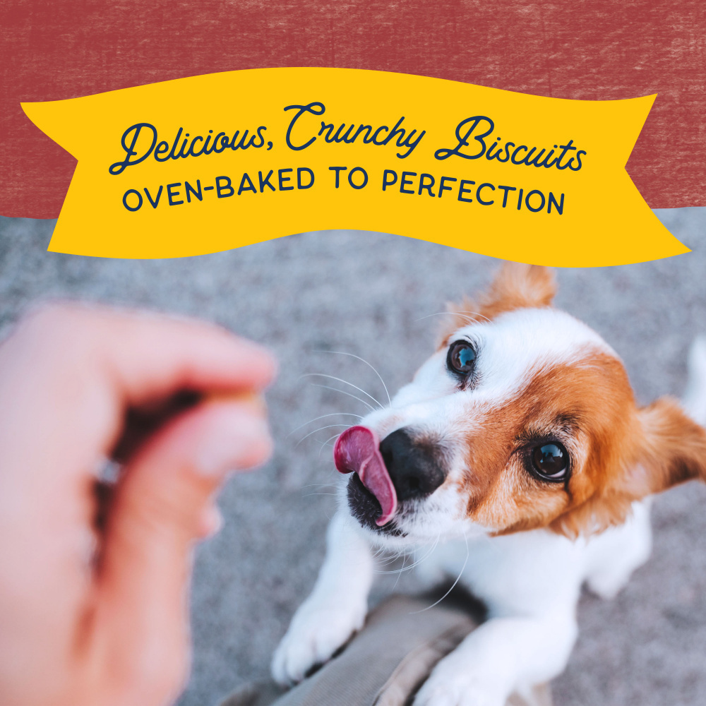 Natural Balance Rewards Crunchy Biscuits Dog Treats for Small Breeds with Real Bison